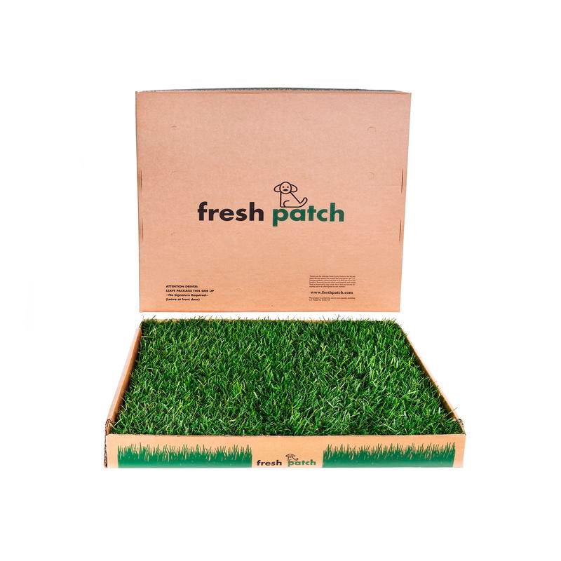 Fresh Patch (Large) - Large Size (24 In. X 24 In.) Real Grass Potty Pad