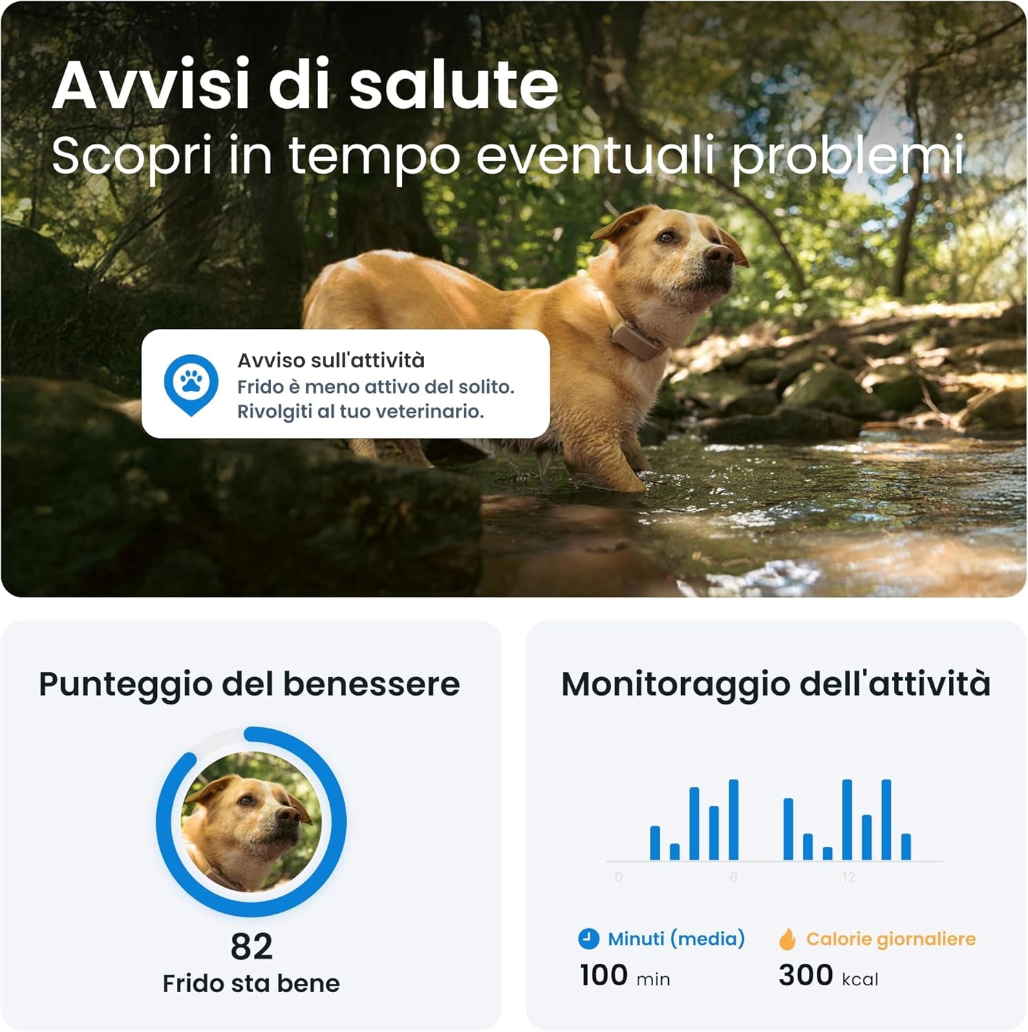 - GPS per Cani | N. 1 Sul Mercato | Localizzazione in Tempo Reale | Notifiche Antifuga | Monitoraggio Dell'Attività | Avvisi Di Salute | Monitoraggio Degli Abbai (Marrone)