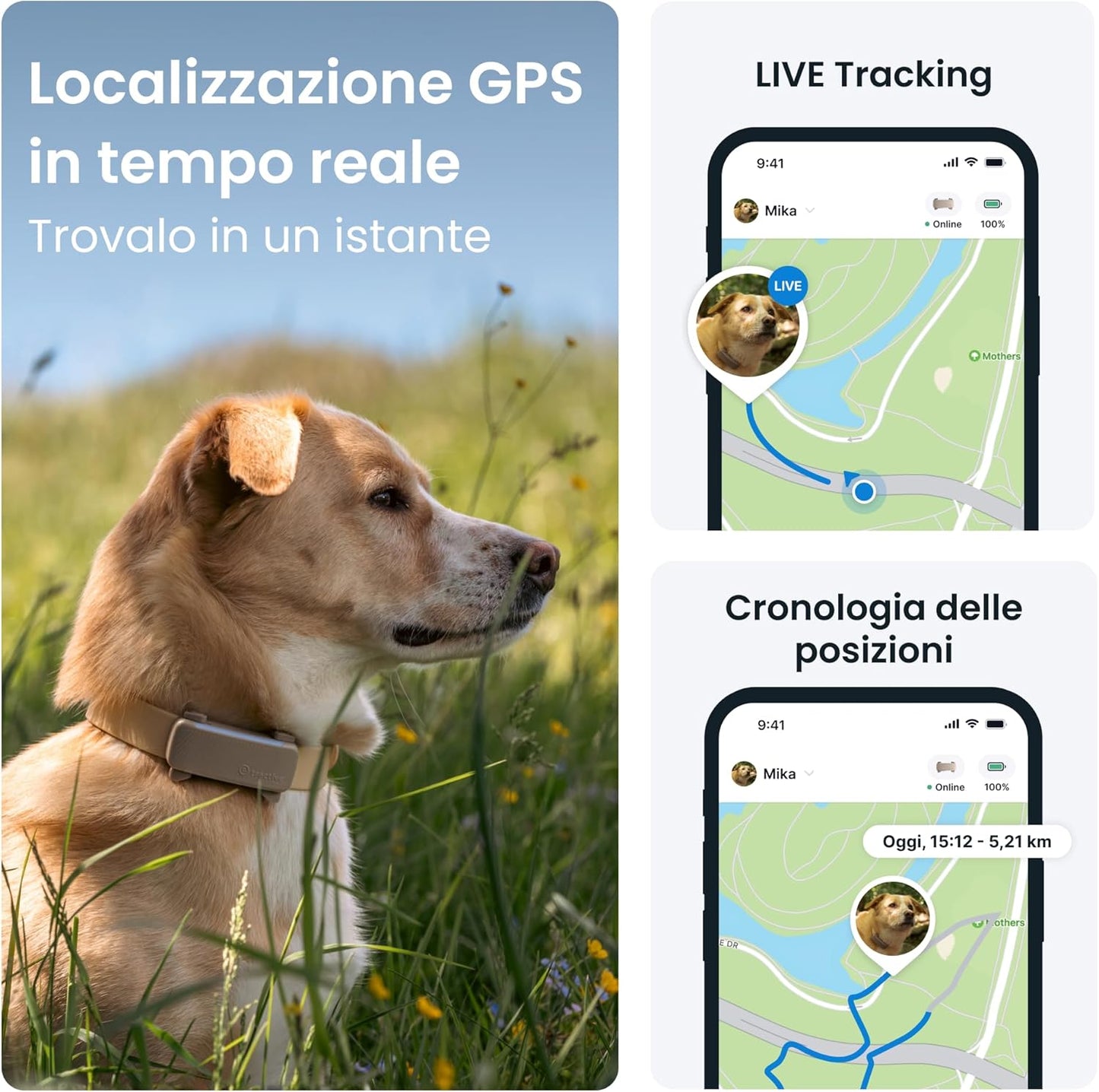 - GPS per Cani | N. 1 Sul Mercato | Localizzazione in Tempo Reale | Notifiche Antifuga | Monitoraggio Dell'Attività | Avvisi Di Salute | Monitoraggio Degli Abbai (Marrone)