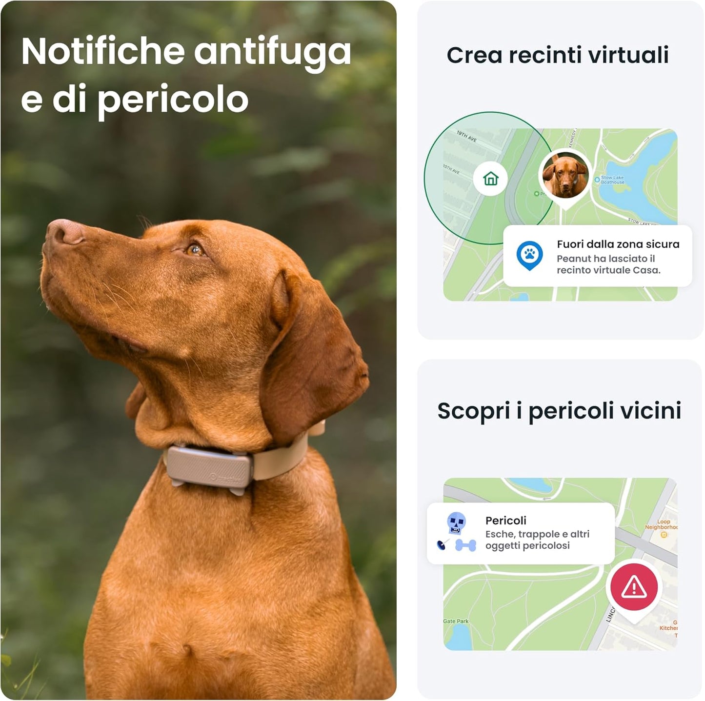 - GPS per Cani | N. 1 Sul Mercato | Localizzazione in Tempo Reale | Notifiche Antifuga | Monitoraggio Dell'Attività | Avvisi Di Salute | Monitoraggio Degli Abbai (Marrone)