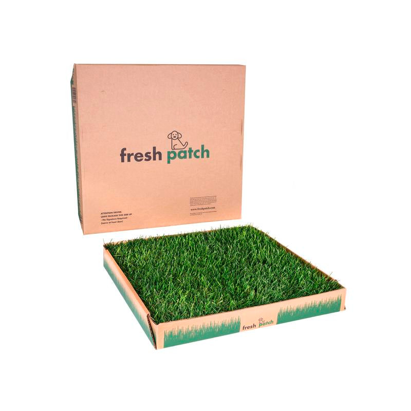 Fresh Patch (Large) - Large Size (24 In. X 24 In.) Real Grass Potty Pad